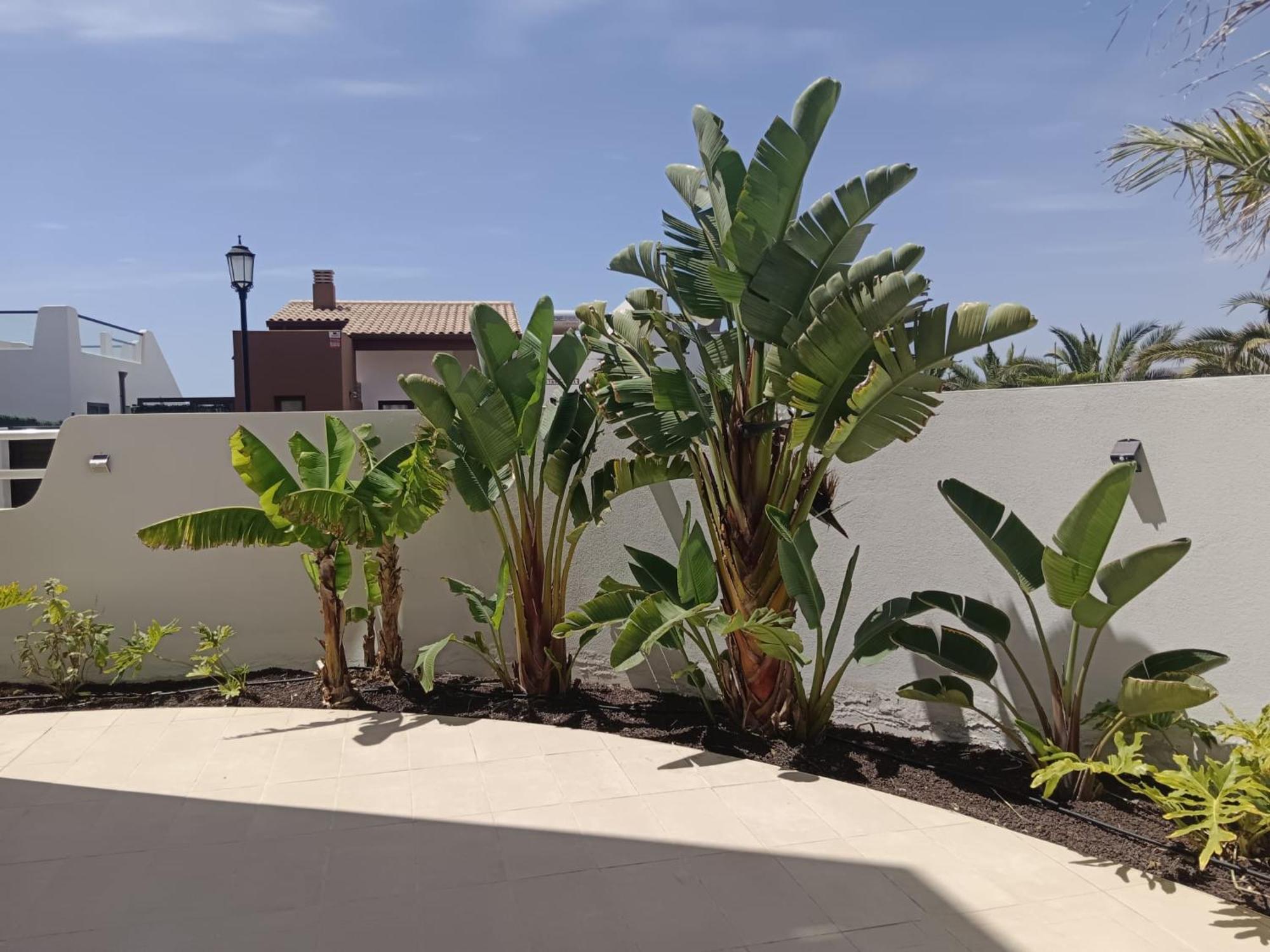 Homeforguest Flat With Large Terrace In Modern Residential Complex With Swimming Pool Caleta De Fuste Bagian luar foto